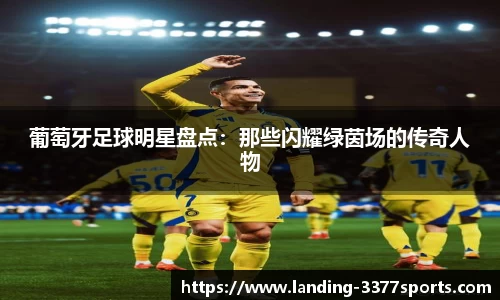 3377体育
